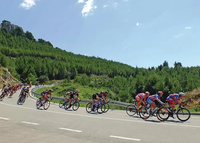 Apartment Two-bedroom With Sea View 06